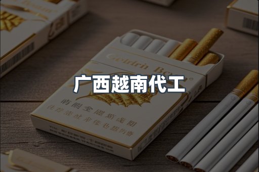 广西越南代工